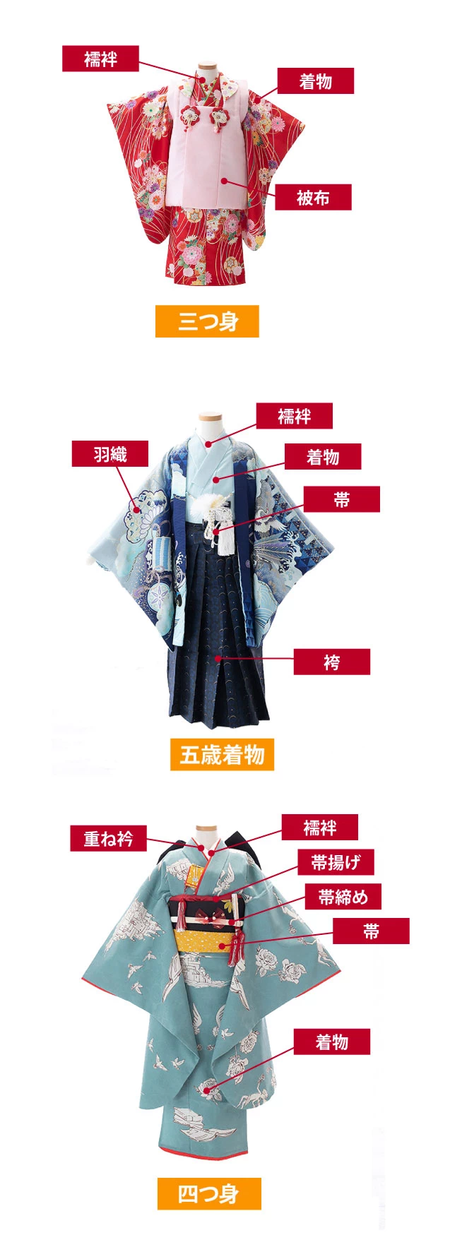 七五三の着物種類についての図解