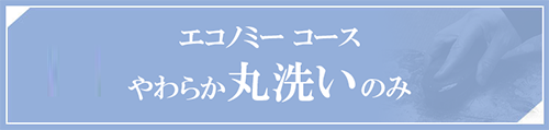 エコノミーコース