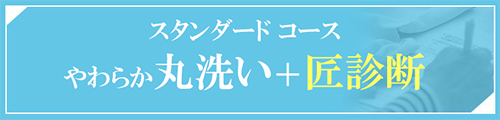 スタンダードコース