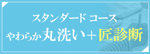 スタンダードコース