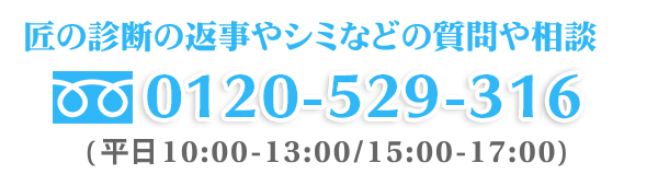 フリーダイヤル0120-529-316