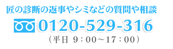 フリーダイヤル0120-529-316