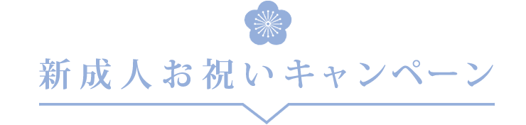 きものtotonoe 着物クリーニング・振袖館のご注文の流れ