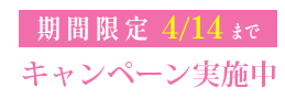 年間6万点突破記念！お客様感謝キャンペーン実施中