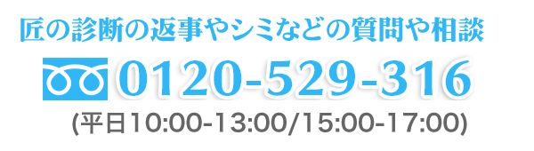 フリーダイヤル0120-529-316